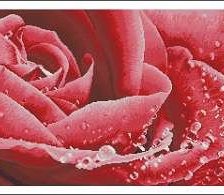 Схема вышивки «№550119»