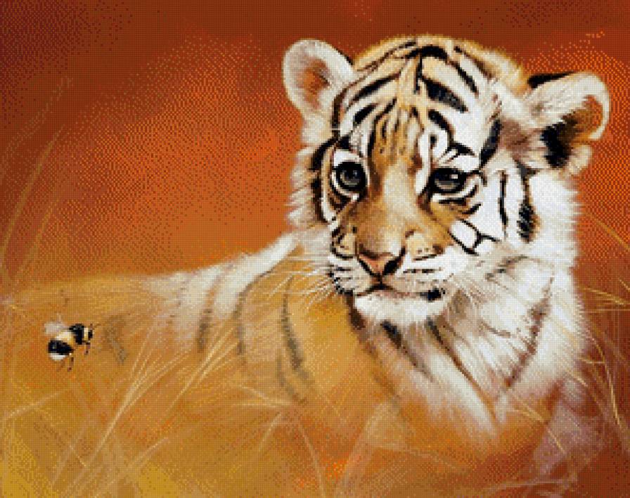 Тигренок - тигрята, животные, тигры - предпросмотр