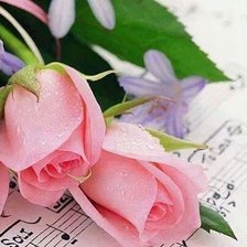 Схема вышивки «№550128»