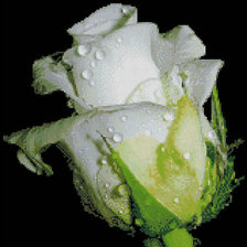 Схема вышивки «№550135»