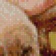 Предпросмотр схемы вышивки «девочка с щенком» (№550191)