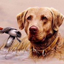 Схема вышивки «№550204»