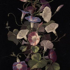 Схема вышивки «№550320»