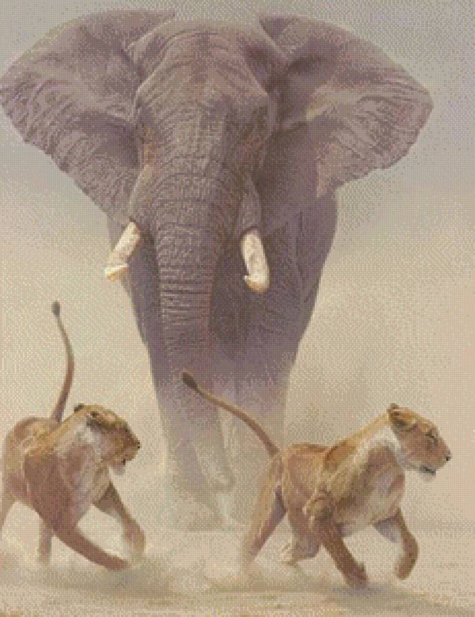 Саванна - слон, львы - предпросмотр