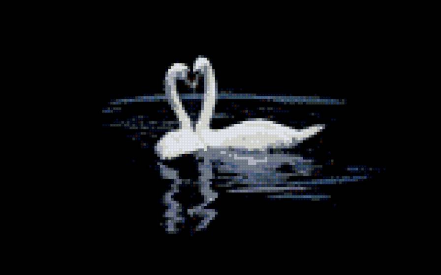 Лебеди - предпросмотр