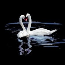 Схема вышивки «Лебеди»