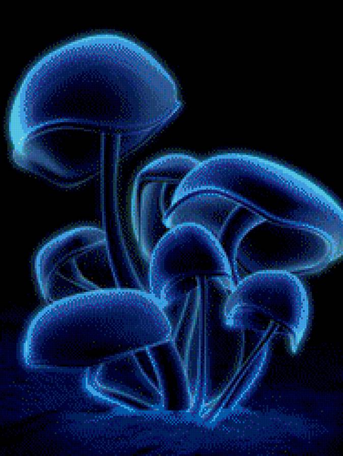 Грибы - черная канва, грибы - предпросмотр