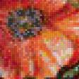 Предпросмотр схемы вышивки «маки» (№550544)
