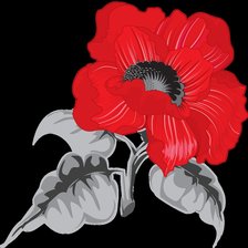 Схема вышивки «Мак на черном»