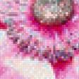 Предпросмотр схемы вышивки «№550709»