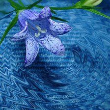 Схема вышивки «Колокольчик»