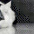 Предпросмотр схемы вышивки «кот» (№550731)