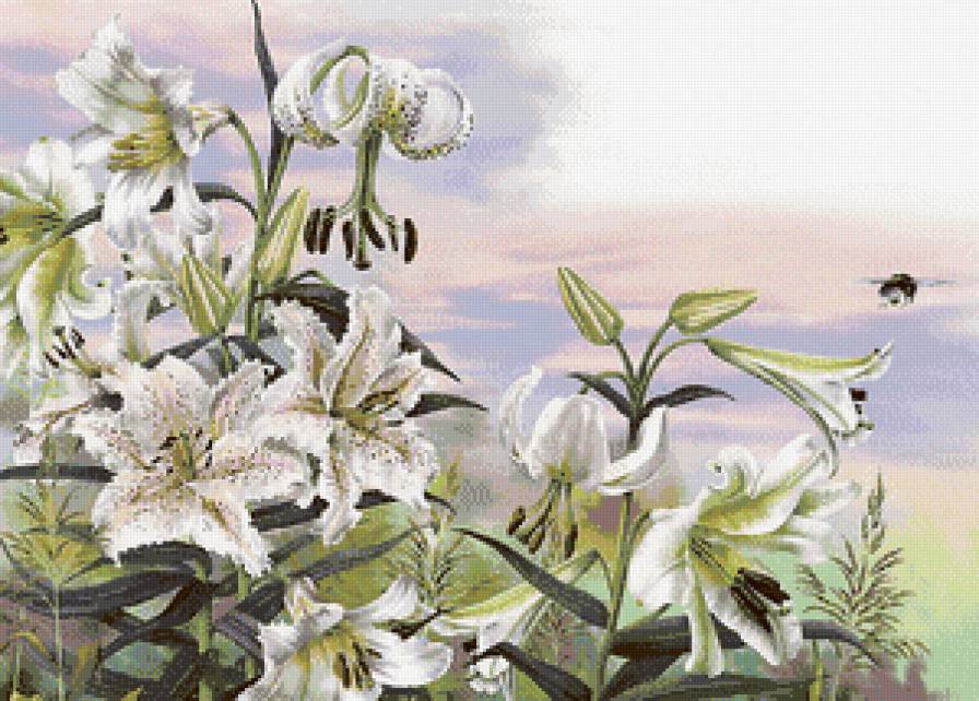 Белые лилии - лилии, букет, цветы - предпросмотр