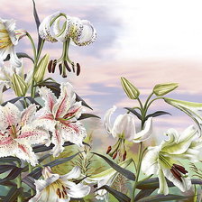 Схема вышивки «Белые лилии»