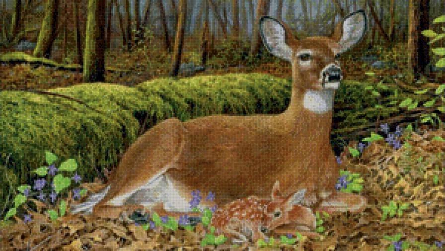 Олениха с олененком - олени, лес - предпросмотр