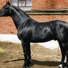 Схема вышивки «Наргиль»