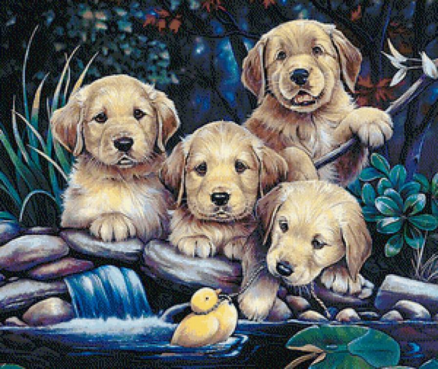 Забавные малыши - собаки, щенки, сад, утенок, животные, пруд - предпросмотр