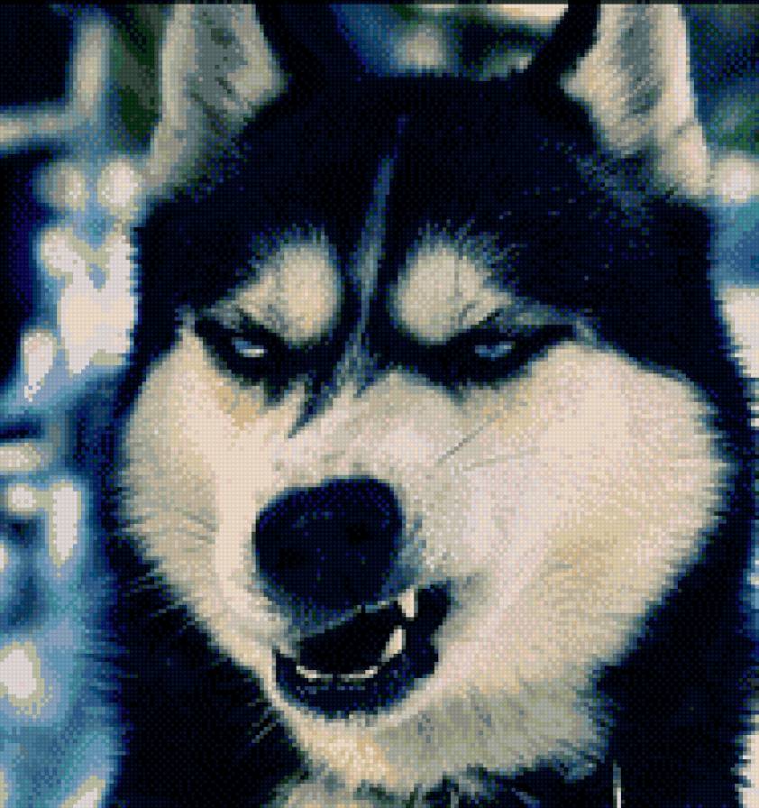 злюка - забавные животные - предпросмотр