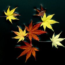 Схема вышивки «листья»