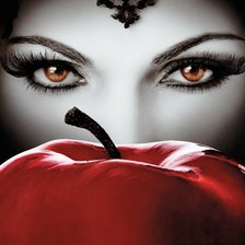 Схема вышивки «Evil Queen»