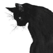 кот на подушку