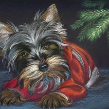 Схема вышивки «домашние любимцы»