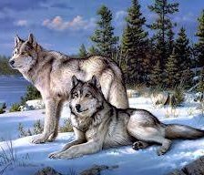 Схема вышивки «Волки»