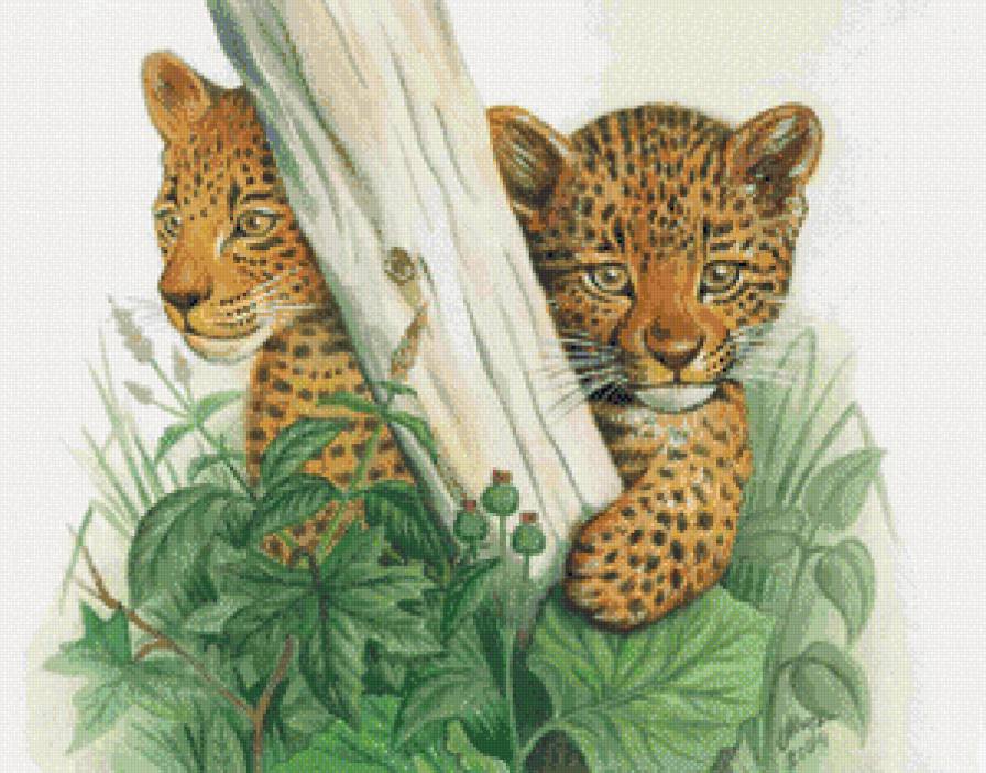 леопырды - предпросмотр