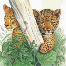 Схема вышивки «леопырды»