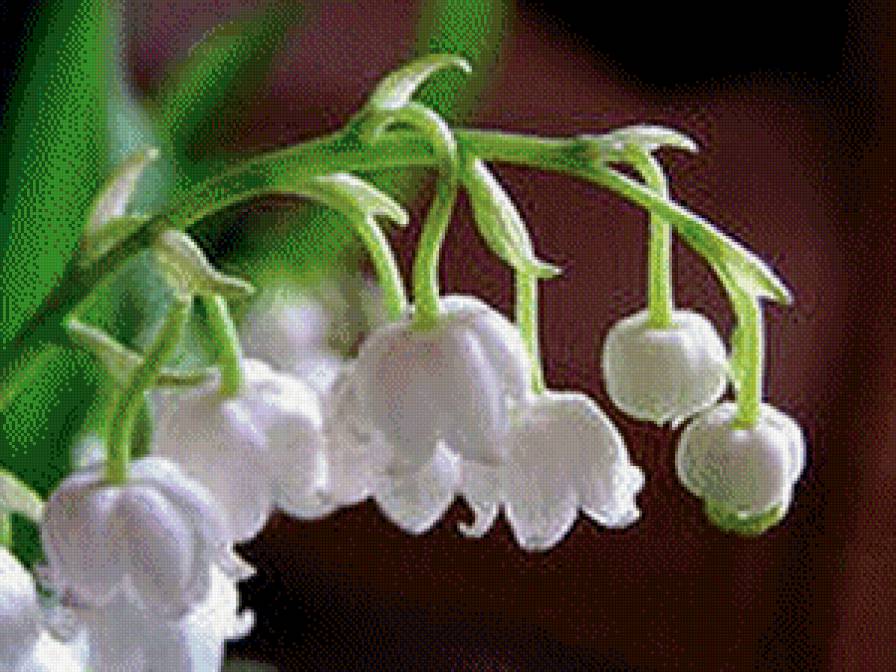 ландыши - цветы - предпросмотр