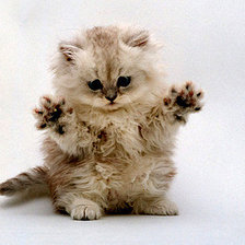 Схема вышивки «кисунька»