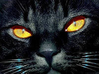 Схема вышивки «кот»