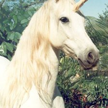 Схема вышивки «Единорог»