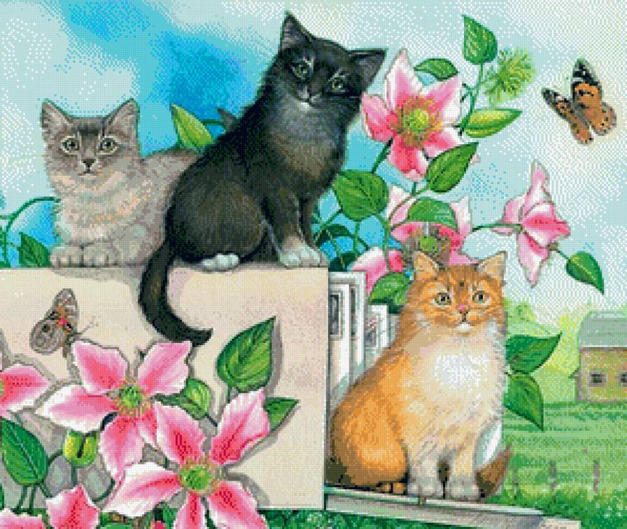 Котята - кошки, котята, животные - предпросмотр