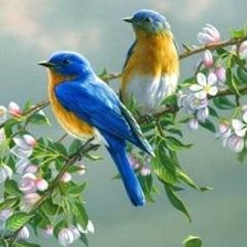 Схема вышивки «№551672»