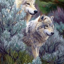 Схема вышивки «Волки»