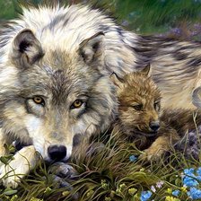 Схема вышивки «Молодая волчица»