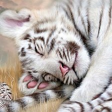 Схема вышивки «Летний сон»