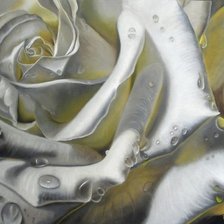 Схема вышивки «Роза»