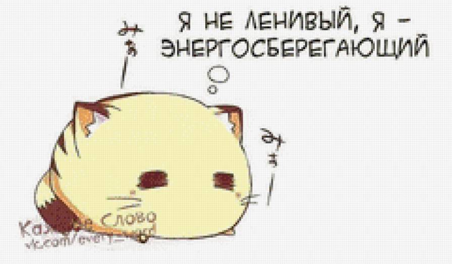 Картинка - кот - предпросмотр