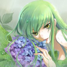 Схема вышивки «Код Гиасс»