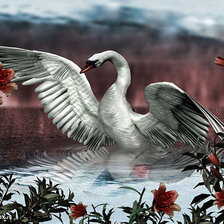 Схема вышивки «Лебедь»