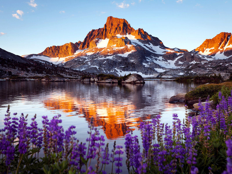 Красота - горы, цветы, природа - оригинал