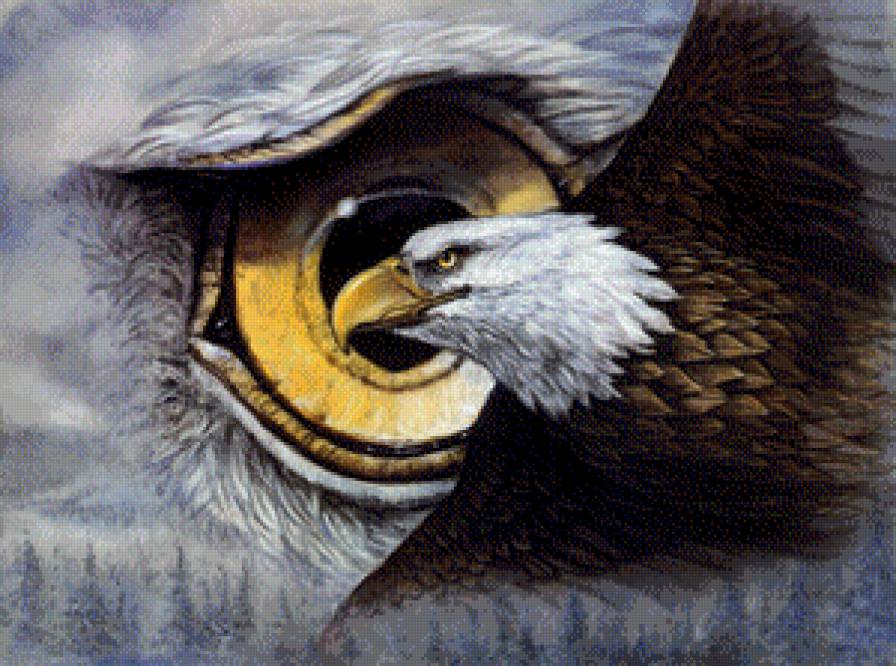 Орёл - орел - предпросмотр