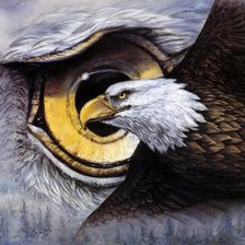 Схема вышивки «Орёл»