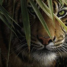 Схема вышивки «Хищник»