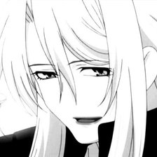 Схема вышивки «Широгане»