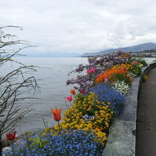 Схема вышивки «весна в женеве»
