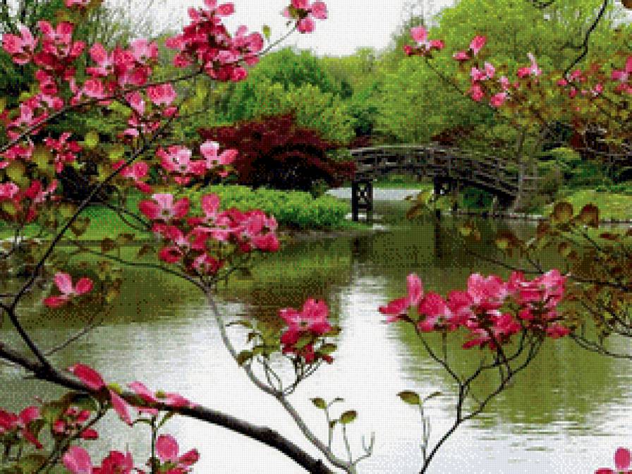 Природа - пейзаж, речка, вишня, мост, сакура - предпросмотр