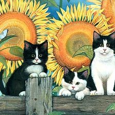 Схема вышивки «Котята в подсолнухах»